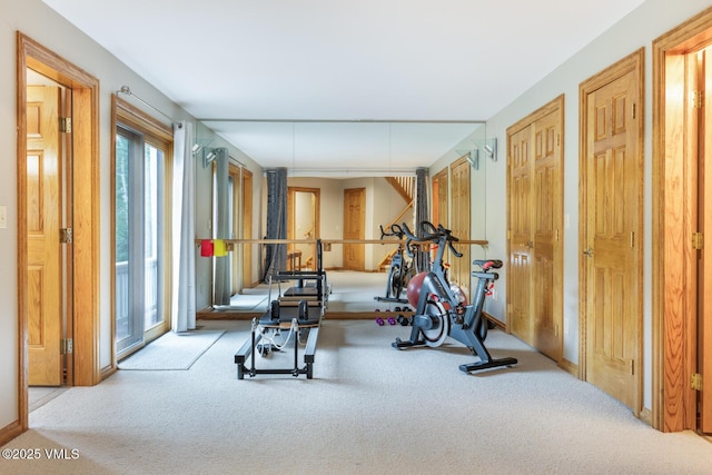 60 Elk Track Ct, Beaver Creek, CO 81620 - workout area featuring carpet flooring