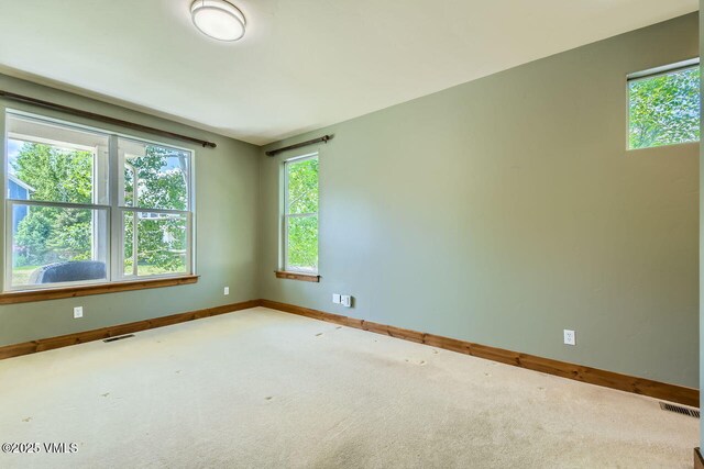 41 Wren Ct, Eagle, CO 81631 - spare room featuring baseboards, carpet, and healthy amount of natural light