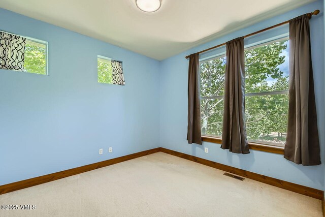41 Wren Ct, Eagle, CO 81631 - carpeted empty room with baseboards