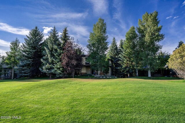 50 Howard Dr, Edwards, CO 81632 - photo 35