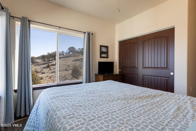 bedroom featuring a closet