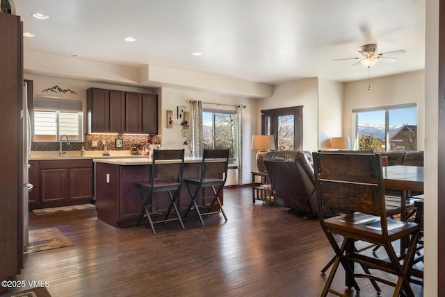 interior space with a healthy amount of sunlight, dark wood-style flooring, a sink, light countertops, and open floor plan