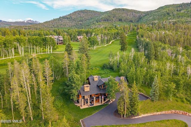 25 W Timber Draw Dr, Edwards, CO 81632 - bird's eye view of mountains and a heavily wooded area