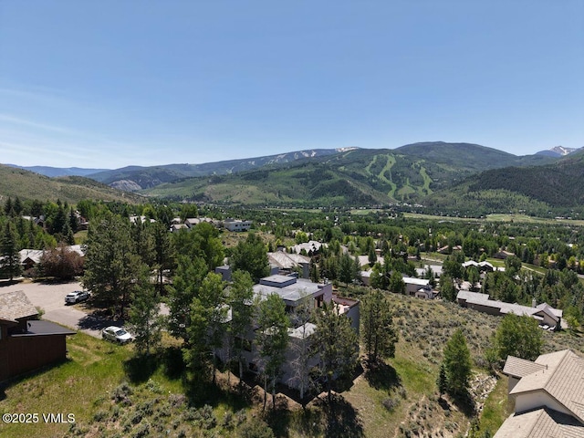 141 Corral Rd Unit A, Edwards, CO 81632 - photo 50