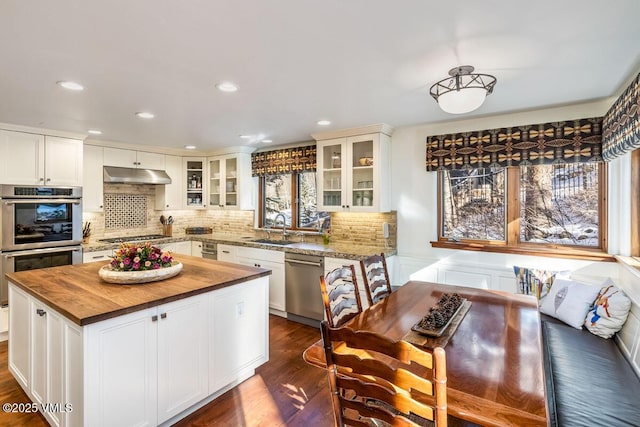 kitchen featuring under cabinet range hood, dark wood-style floors, stainless steel appliances, wood counters, and a sink