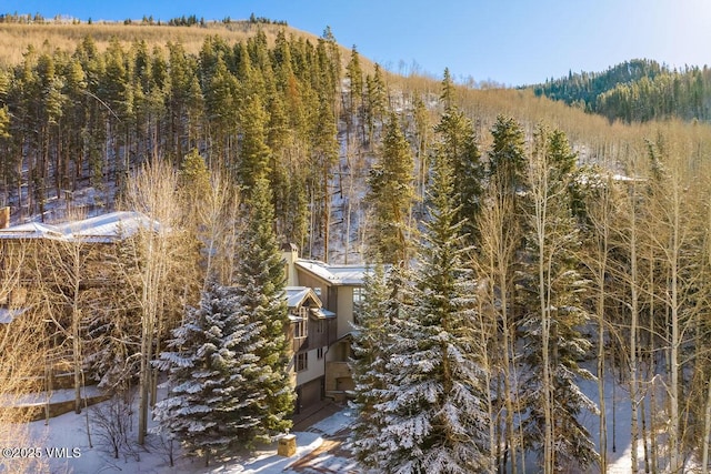 property view of mountains with a wooded view