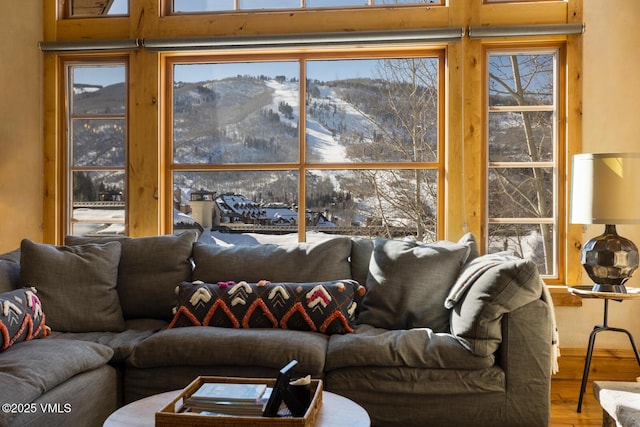 living room featuring a mountain view, a wealth of natural light, and hardwood / wood-style floors