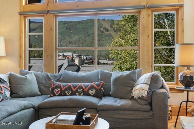 living room featuring wood-type flooring