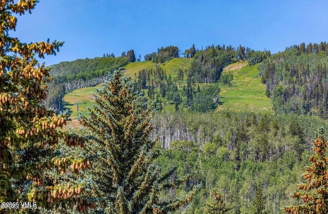 120 Offerson Rd Unit A160, Beaver Creek, CO 81620 - view of woods