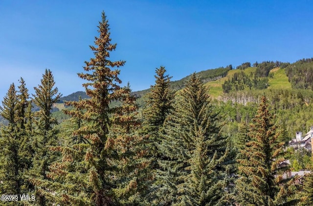120 Offerson Rd Unit A160, Beaver Creek, CO 81620 - view of mountain backdrop featuring a heavily wooded area
