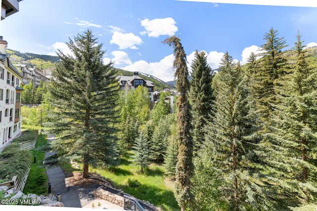 120 Offerson Rd Unit 2320, Beaver Creek, CO 81620 - view of mountain backdrop