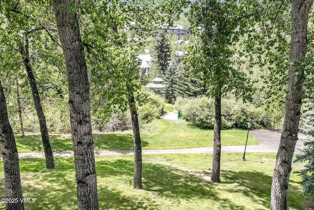 120 Offerson Rd Unit 2320, Beaver Creek, CO 81620 - view of green lawn