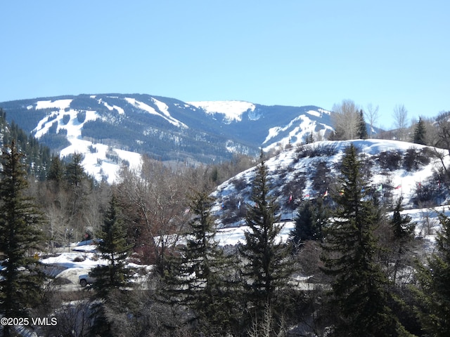 view of mountain feature featuring a wooded view