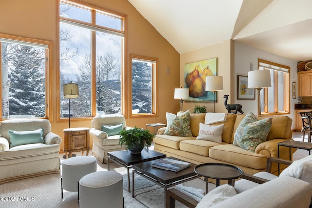2 Anvil Cir, Edwards, CO 81632 - carpeted living room with lofted ceiling
