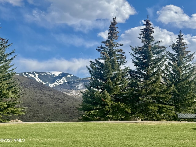 2403 Draw Spur Unit 2, Avon, CO 81620 - mountain view