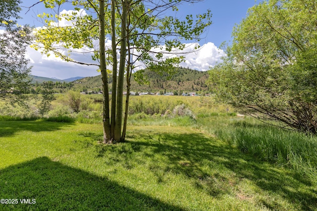 601 Crazy Horse Cir Unit 601, Edwards, CO 81632 - view of green lawn with a mountain view