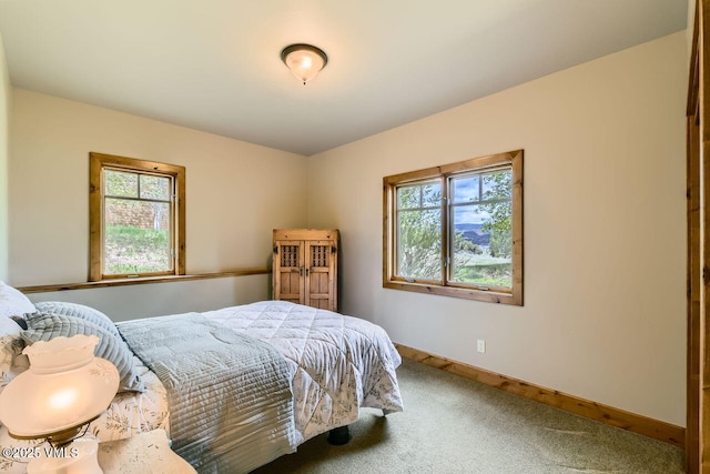 51 Silver Spur, Eagle, CO 81631 - carpeted bedroom featuring multiple windows and baseboards
