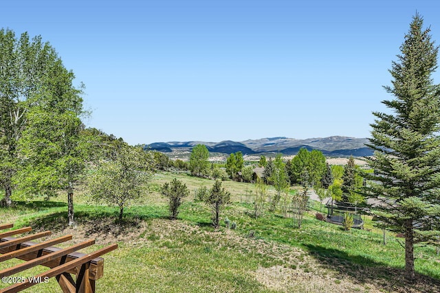 51 Silver Spur, Eagle, CO 81631 - mountain view