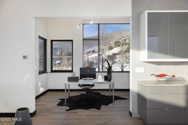 office space featuring hardwood / wood-style flooring