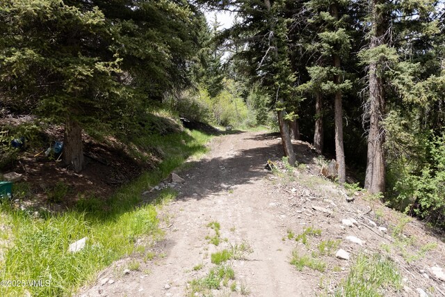 2980 Salt Creek Rd, Eagle, CO 81631 - view of road with a wooded view