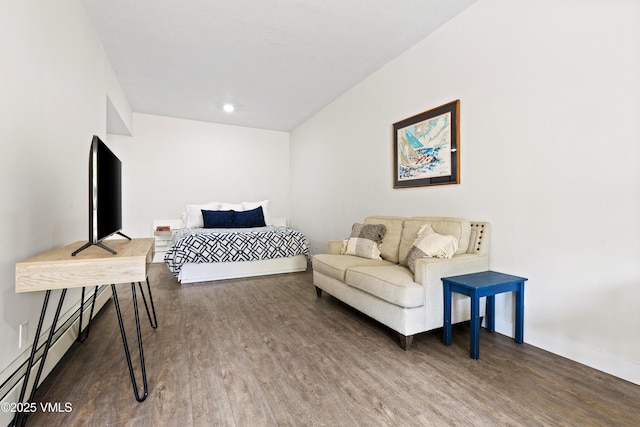 2980 Salt Creek Rd, Eagle, CO 81631 - living room with a baseboard radiator and wood finished floors