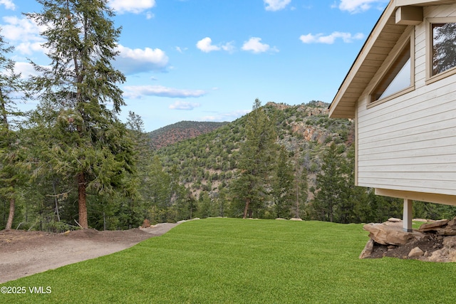 2980 Salt Creek Rd, Eagle, CO 81631 - view of green lawn featuring a mountain view and a forest view