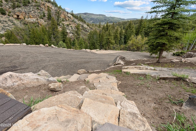 2980 Salt Creek Rd, Eagle, CO 81631 - mountain view