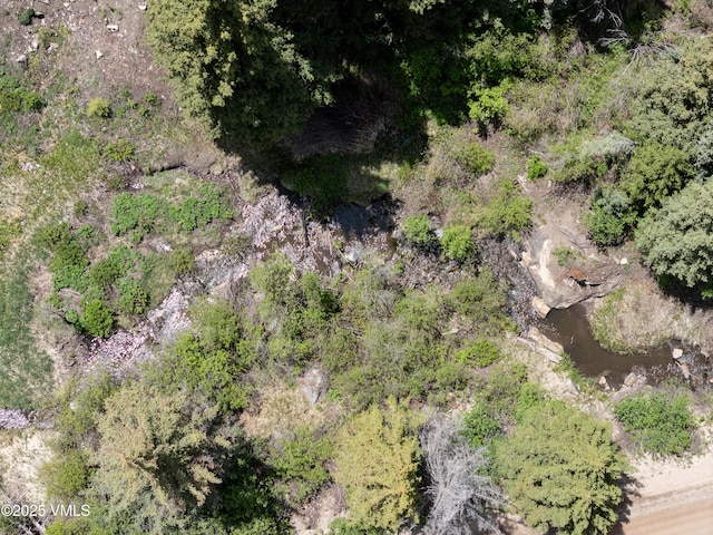 2980 Salt Creek Rd, Eagle, CO 81631 - aerial view of property's location