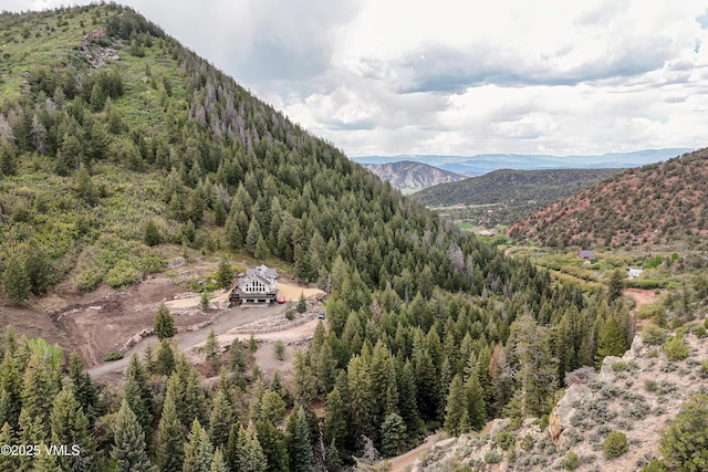 2980 Salt Creek Rd, Eagle, CO 81631 - mountain view featuring a forest