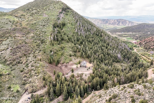 2980 Salt Creek Rd, Eagle, CO 81631 - mountain view