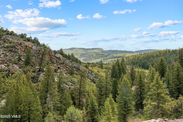 2980 Salt Creek Rd, Eagle, CO 81631 - mountain view with a forest
