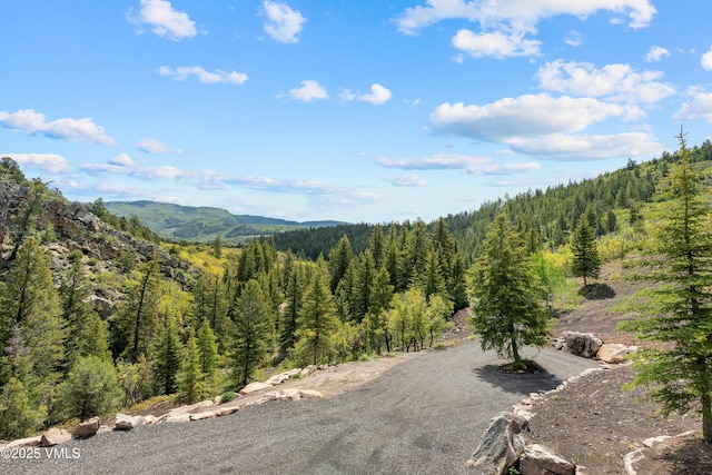 2980 Salt Creek Rd, Eagle, CO 81631 - view of mountain backdrop featuring a heavily wooded area