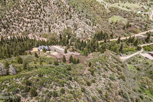2980 Salt Creek Rd, Eagle, CO 81631 - aerial overview of property's location