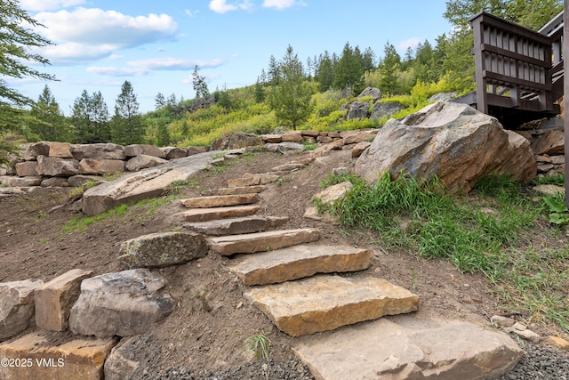 2980 Salt Creek Rd, Eagle, CO 81631 - view of yard