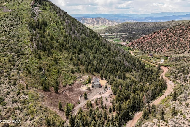 2980 Salt Creek Rd, Eagle, CO 81631 - view of mountain backdrop featuring a heavily wooded area