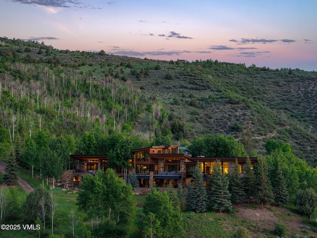 34 Whiskey Rdg, Edwards, CO 81632 - back of property with a forest view