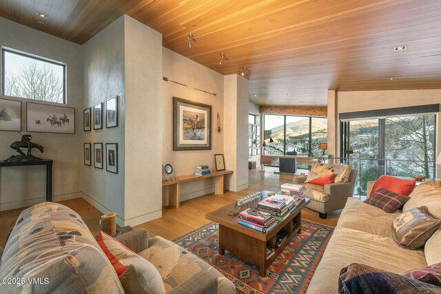 living room featuring wood ceiling and light hardwood / wood-style flooring