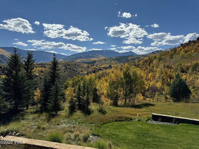 34 Whiskey Rdg, Edwards, CO 81632 - view of mountain background with a forest
