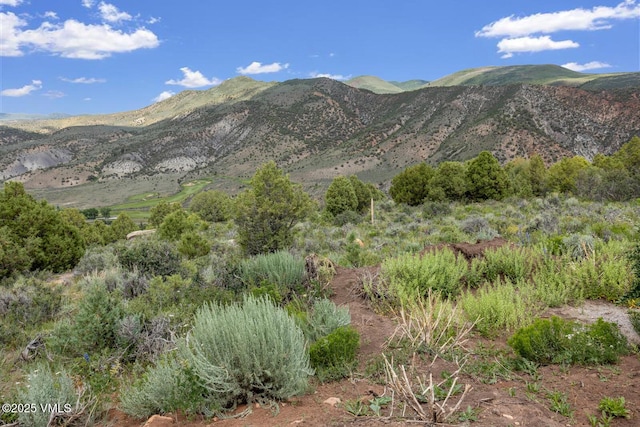 1463 Wolcott Springs Rd, Wolcott, CO 81655