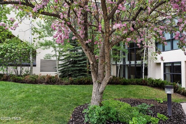 180 Offerson Rd Unit 2, Beaver Creek, CO 81620 - view of grassy yard