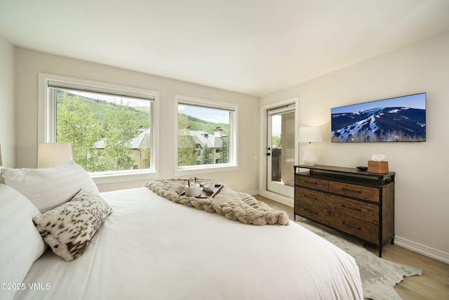 180 Offerson Rd Unit 2, Beaver Creek, CO 81620 - bedroom featuring multiple windows, light wood-style floors, and baseboards