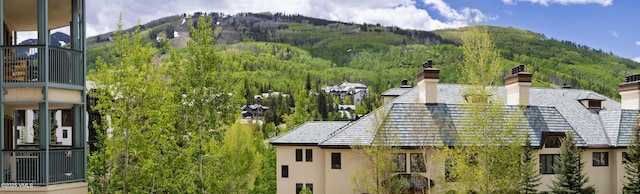 180 Offerson Rd Unit 2, Beaver Creek, CO 81620 - exterior space featuring a mountainous background and a heavily wooded area