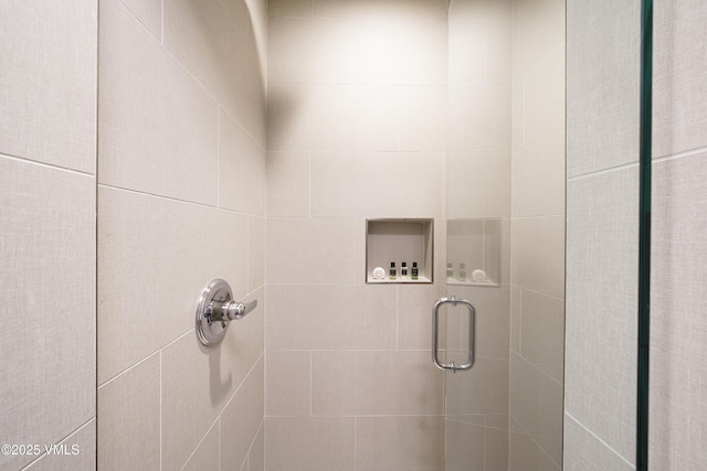 180 Offerson Rd Unit 2, Beaver Creek, CO 81620 - full bathroom featuring a stall shower