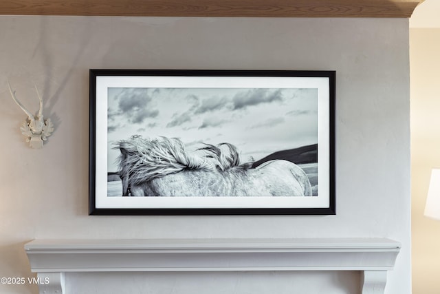 180 Offerson Rd Unit 2, Beaver Creek, CO 81620 - detailed view