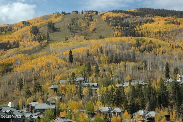 180 Offerson Rd Unit 2, Beaver Creek, CO 81620 - aerial view of property and surrounding area with a forest