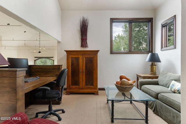 266 Sawatch Dr, Edwards, CO 81632 - office space with light colored carpet and track lighting