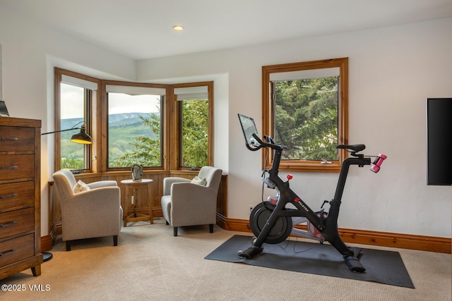 71 Saddle Dr, Edwards, CO 81632 - photo 41