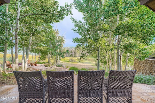 909 Ute Forest Ln, Edwards, CO 81632 - photo 33