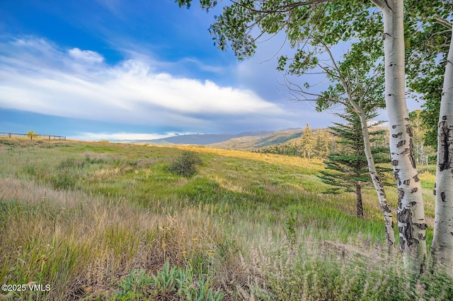 909 Ute Forest Ln, Edwards, CO 81632 - photo 48