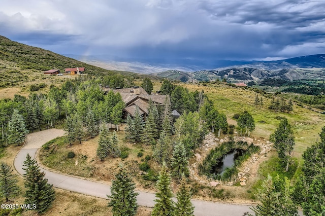 909 Ute Forest Ln, Edwards, CO 81632 - photo 49